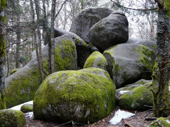Große Felsen im Wald. Symbolisiert den sogenannten Fels Petrus, auf den die Kirche angeblich gebaut ist. Gibt dieser Fels Halt? Die Felsen im Bild sehen nicht sehr vertrauensvoll aus, sie sind übereinander getürmt und sehr labil.